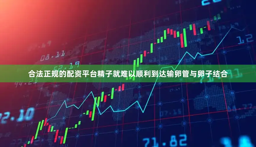 合法正规的配资平台精子就难以顺利到达输卵管与卵子结合